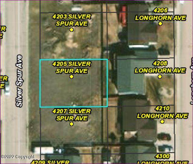 4205 Silver Spur Ave - Photo 1