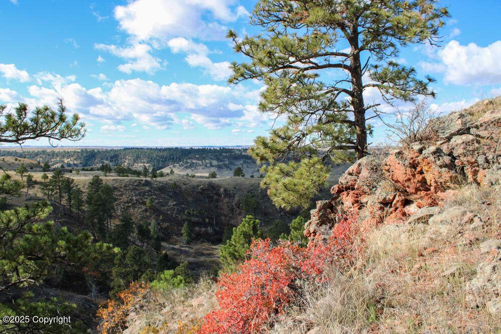 Tract A-8 Broad Axe Rd - Photo 1