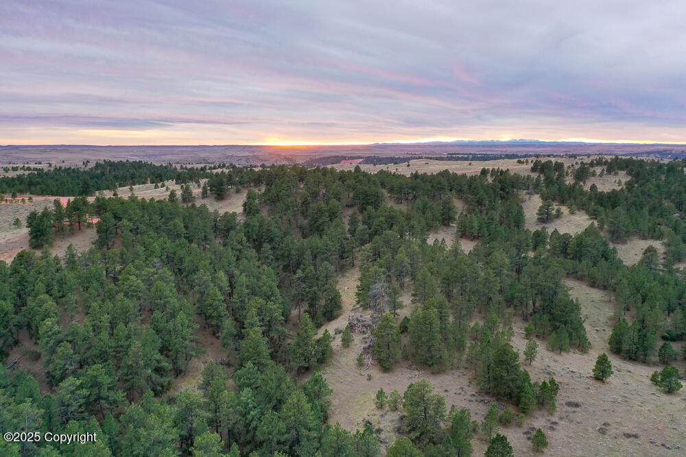 Tract B-10 Broad Axe Rd - Photo 1