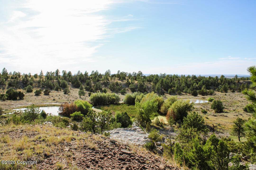 000 Skull Creek Rd - Photo 1
