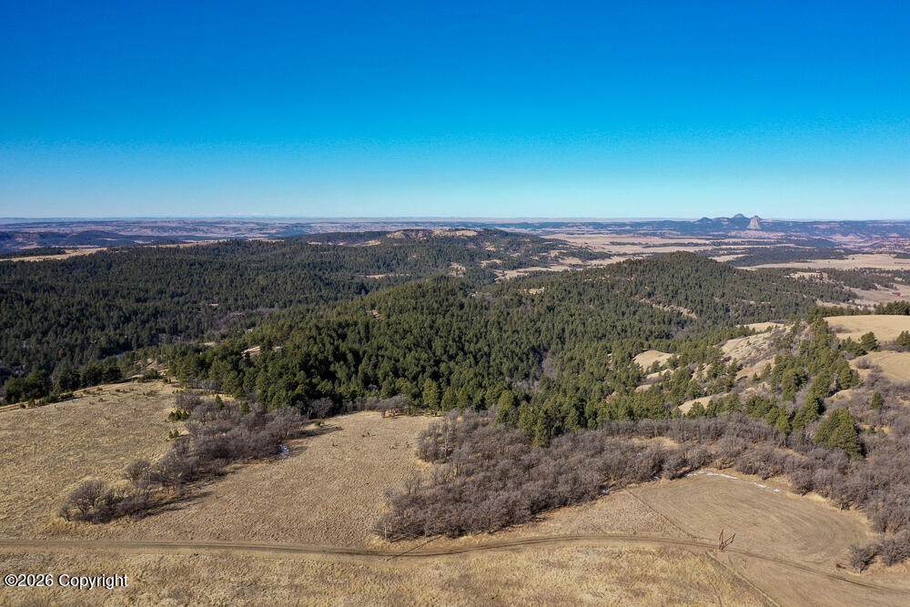 000 Bear Lodge Rd - Photo 1