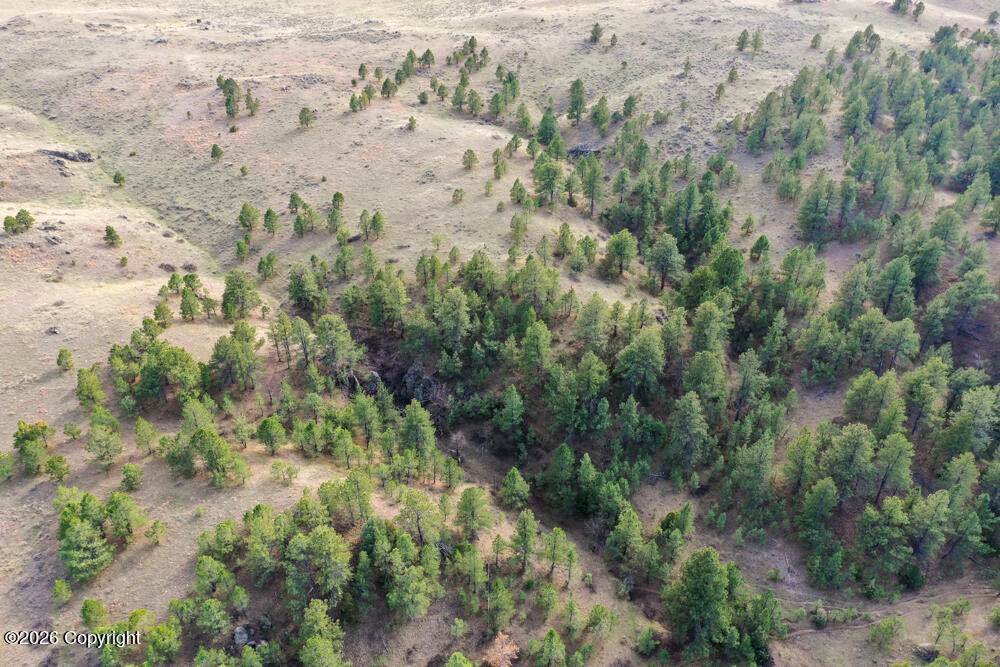 Tract C-1 Broad Axe Rd - Photo 1