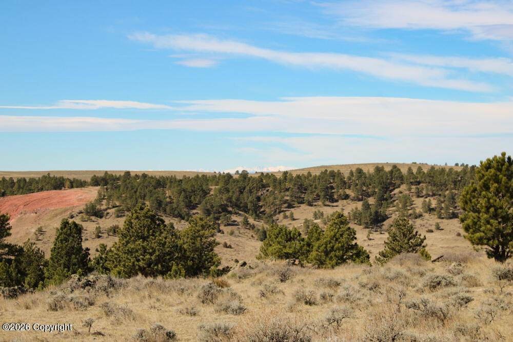 Tract C-5 Broad Axe Rd - Photo 1
