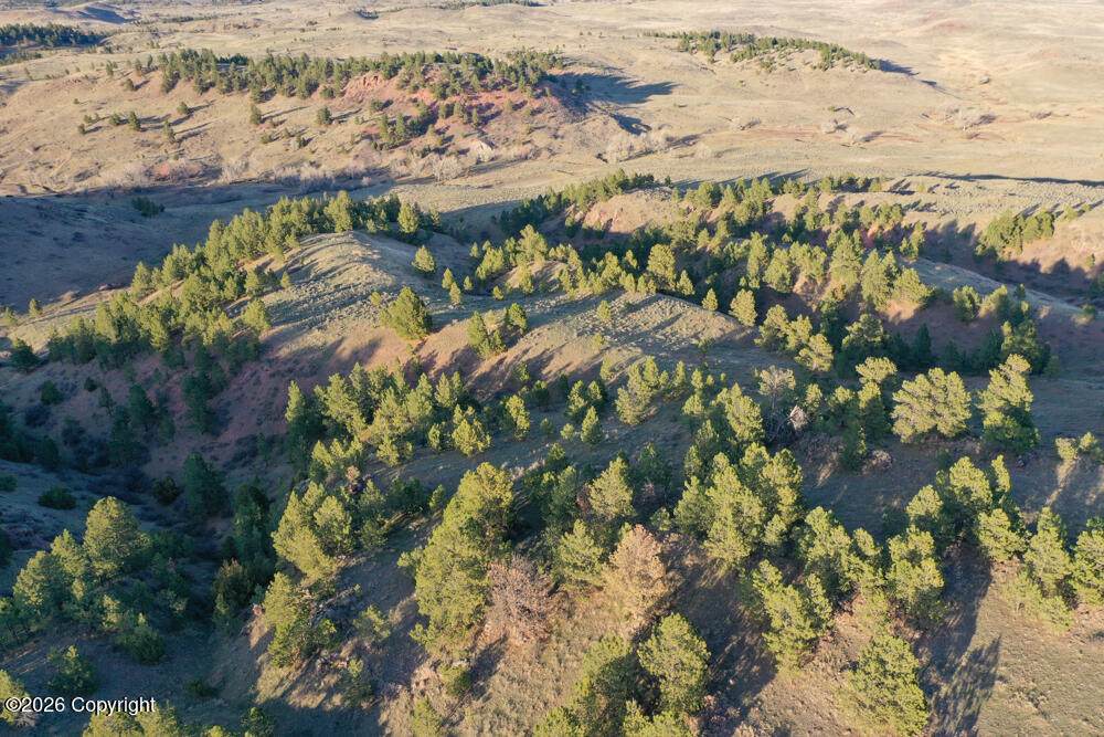Tract D-1 Broad Axe Rd - Photo 1