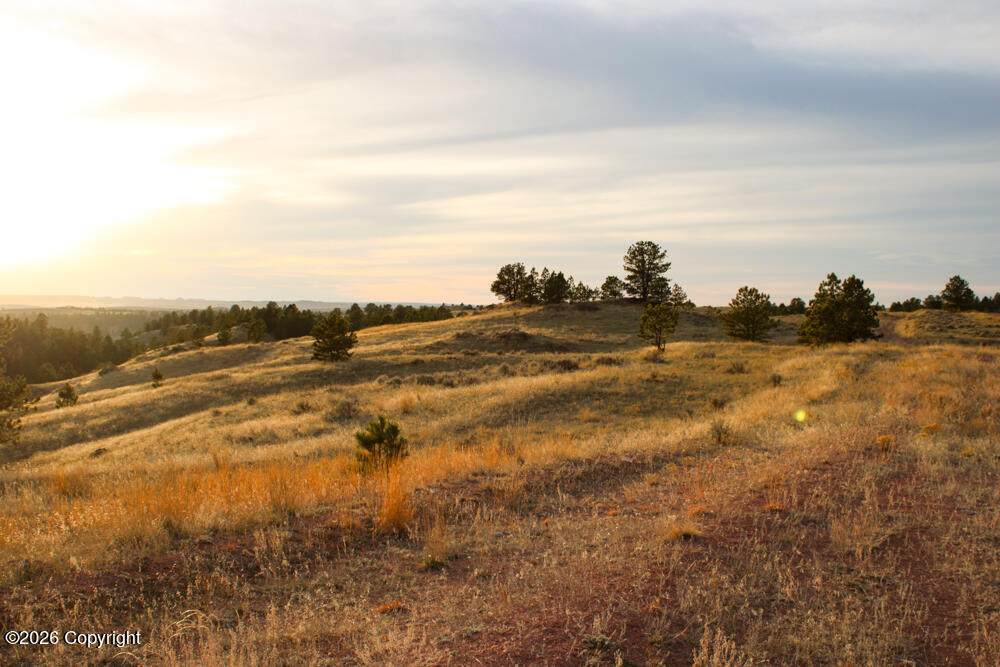 Tract D-10 Broad Axe Rd - Photo 1