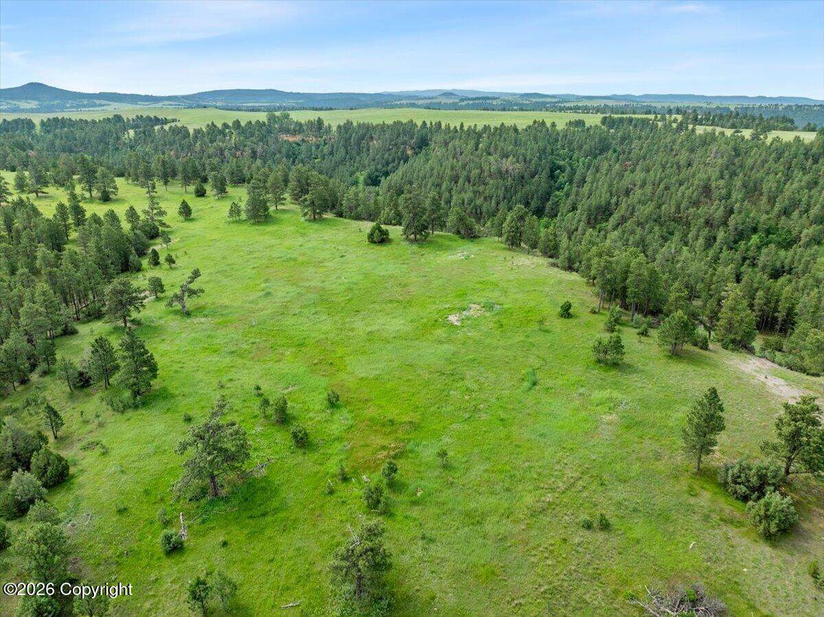 Tract 10 River Road - Photo 1