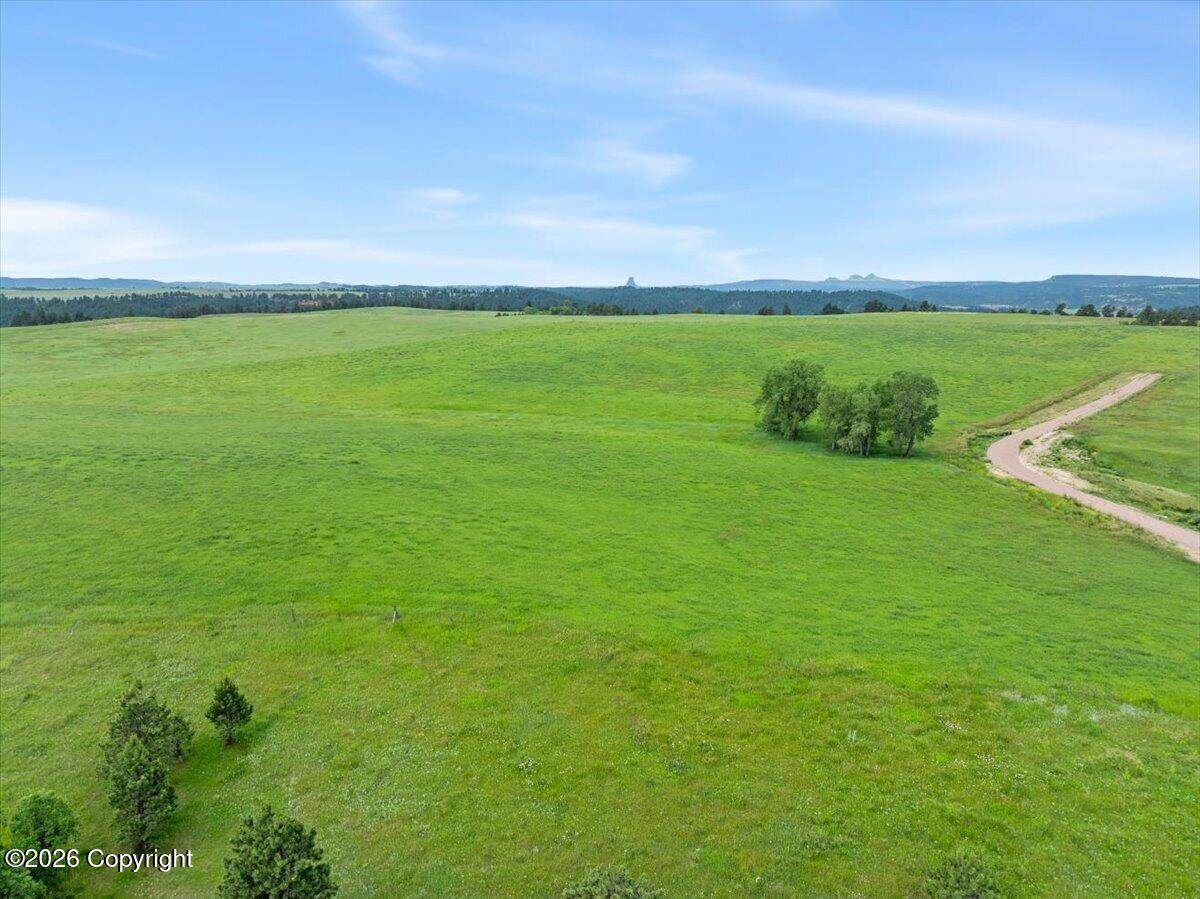 Tract 12 River Road - Photo 1