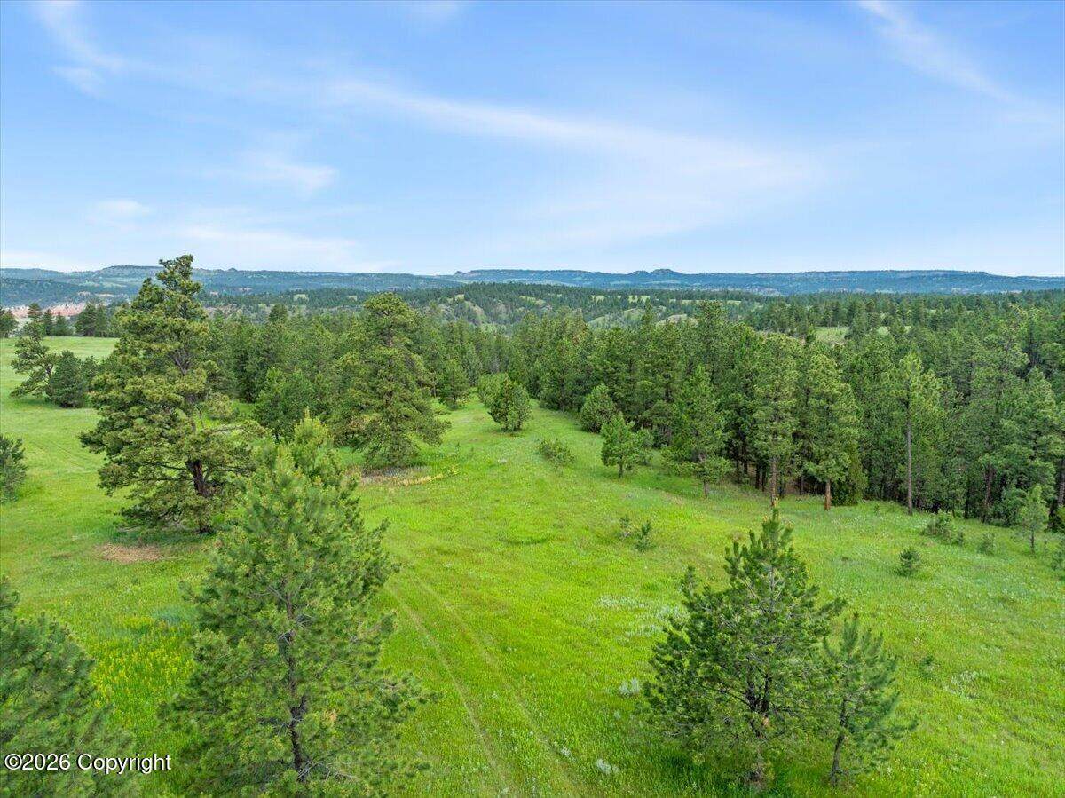Tract 9 River Road - Photo 1