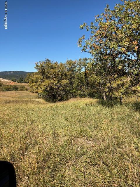 42 Sundance Mountain Rd - Photo 1