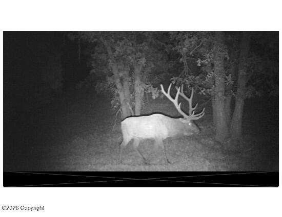 Tbd Geis Road - Photo 1