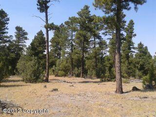 Lot 3 Conifer Dr - Photo 1