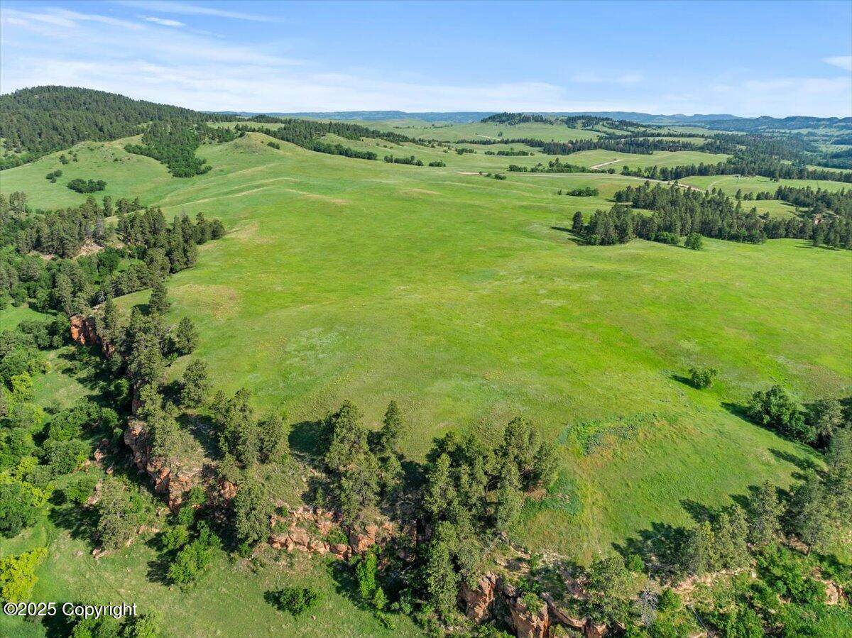 Tract 7 Lone Elk Ranch - Photo 1