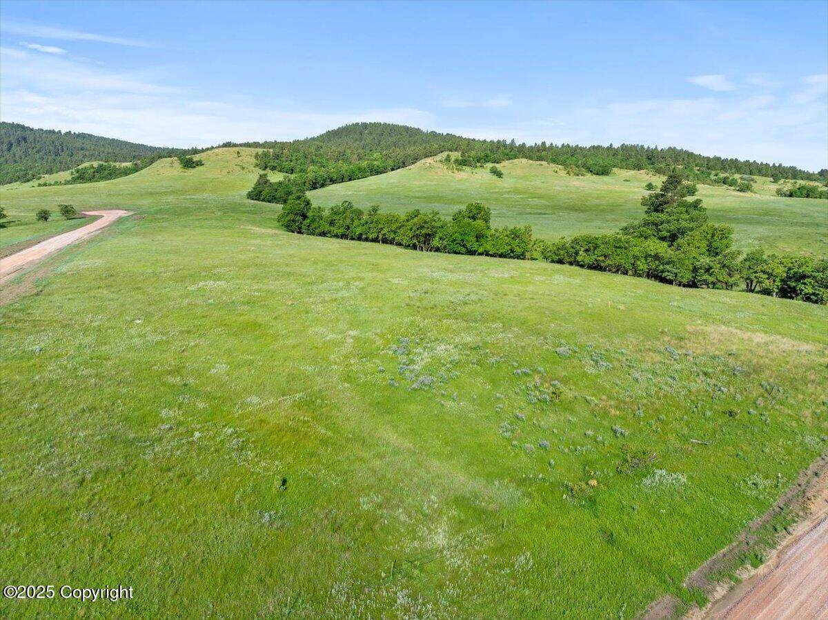 Tract 9 Lone Elk Ranch - Photo 1