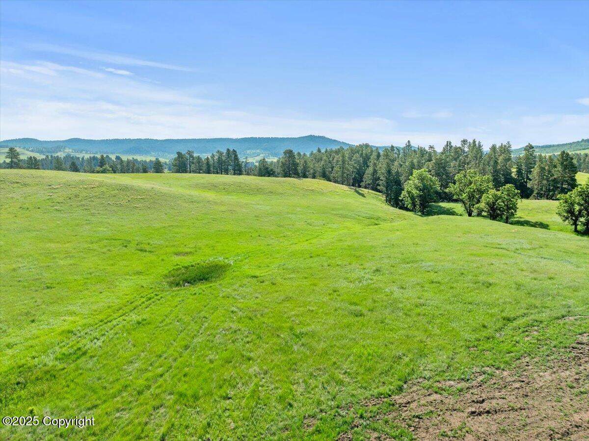 Tract 5 Lone Elk Ranch - Photo 1