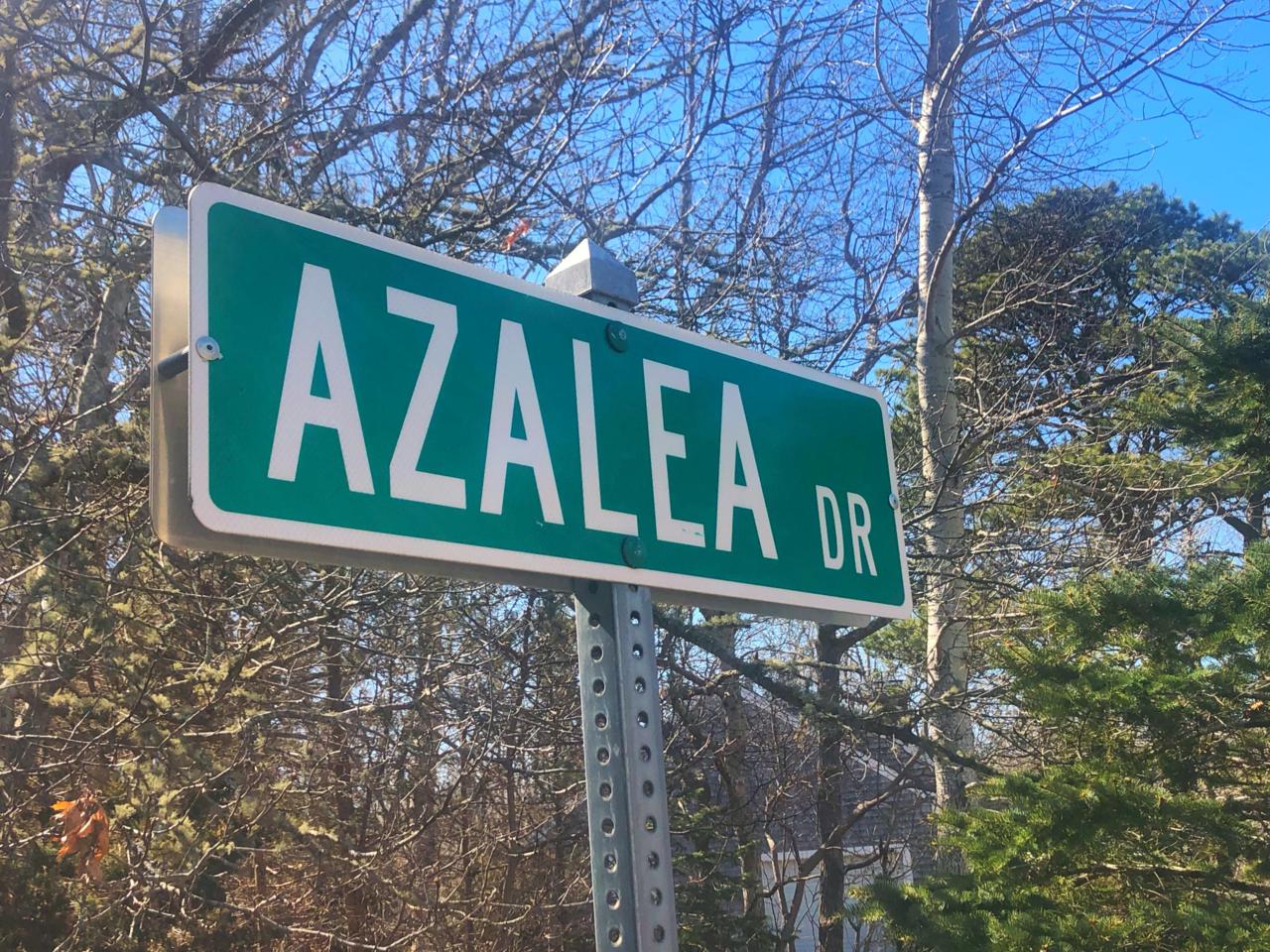 13 Azalea Drive - Photo 1