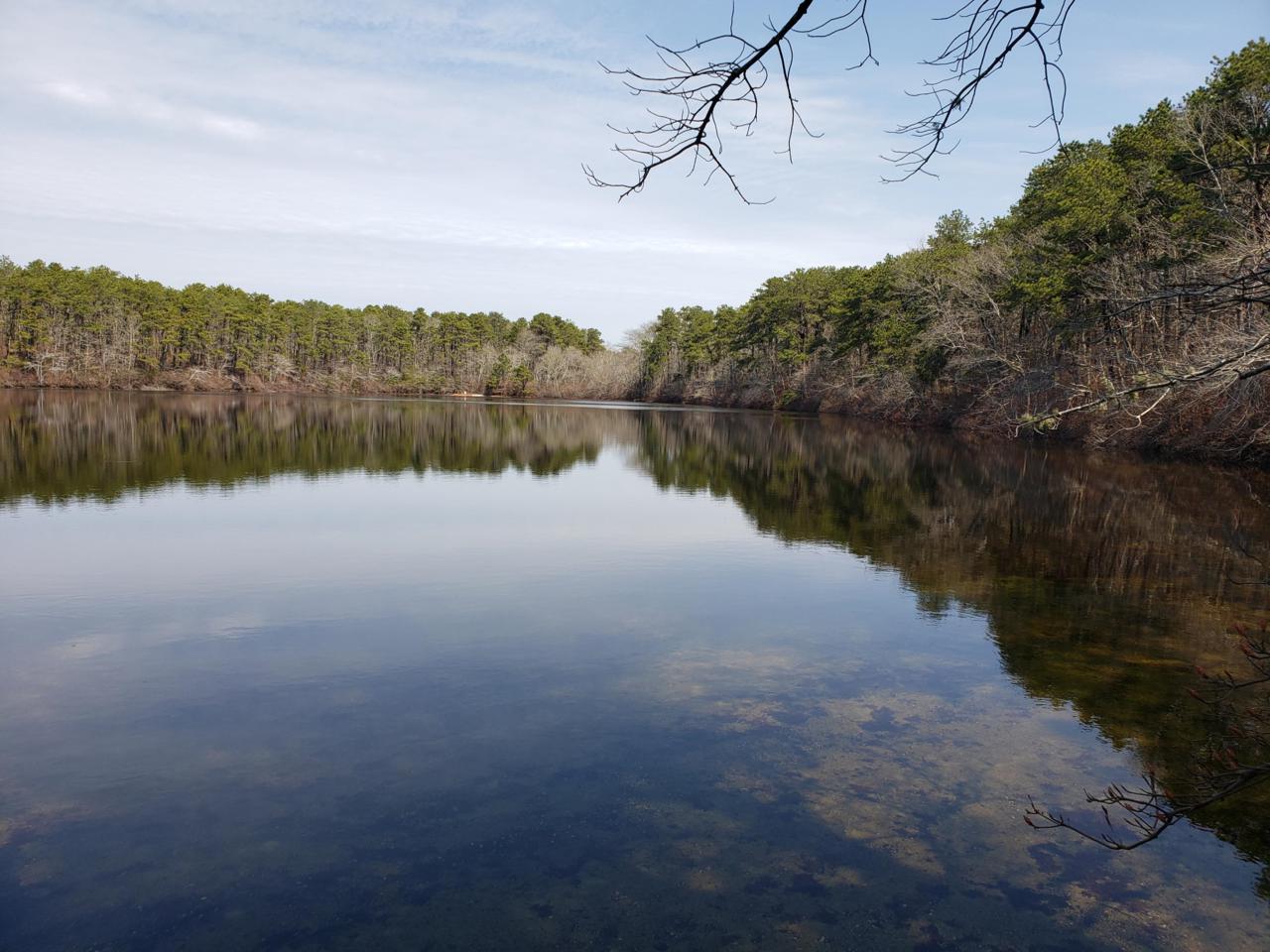 222 Buck Island Road - Photo 1