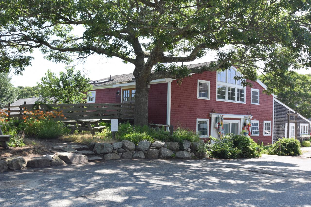 43 Race Point Road - Photo 1