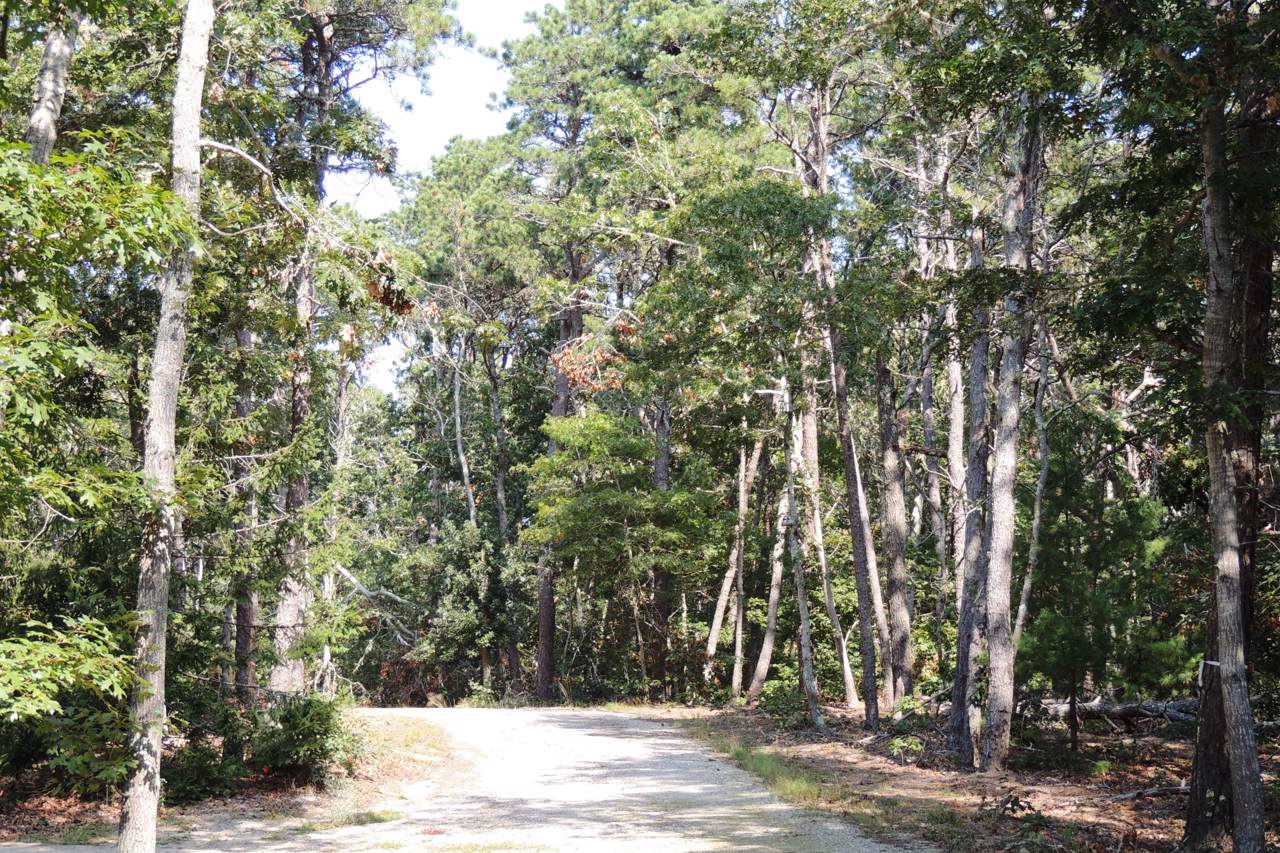 2 Old Campground Road - Photo 1