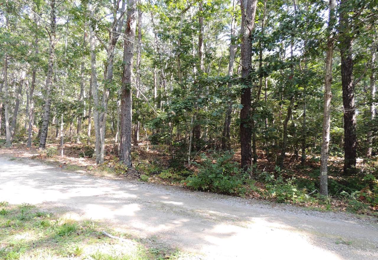 12 Old Campground - Photo 1