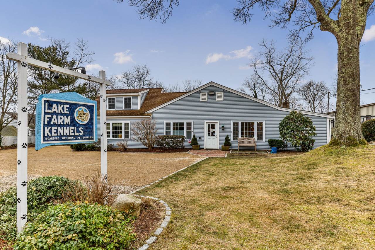 53 Finlay Road - Photo 1