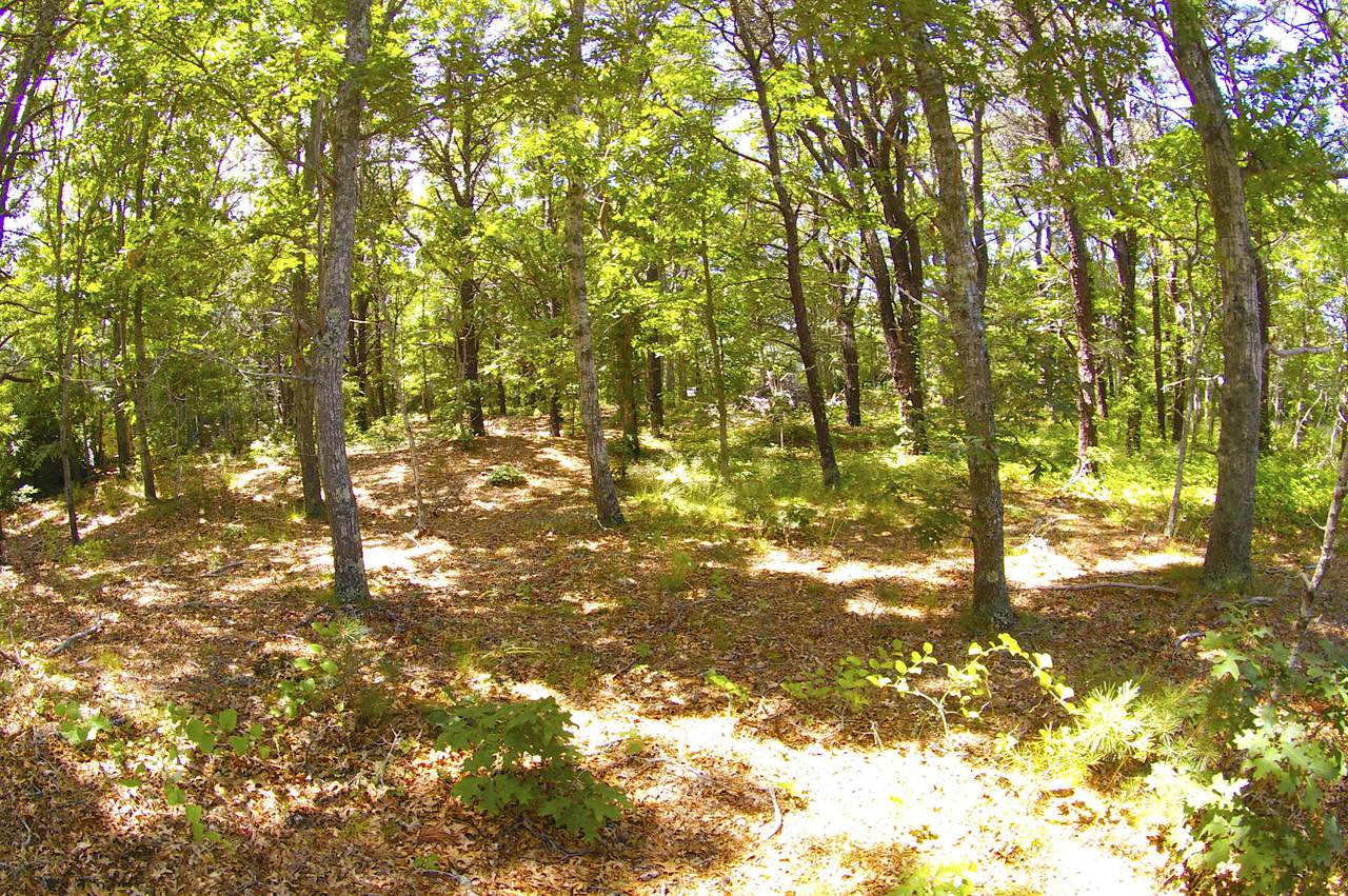 80 Northwest Street - Photo 1