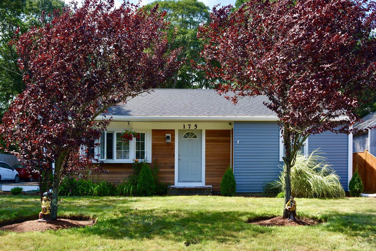 175 Buckwood Drive - Photo 1