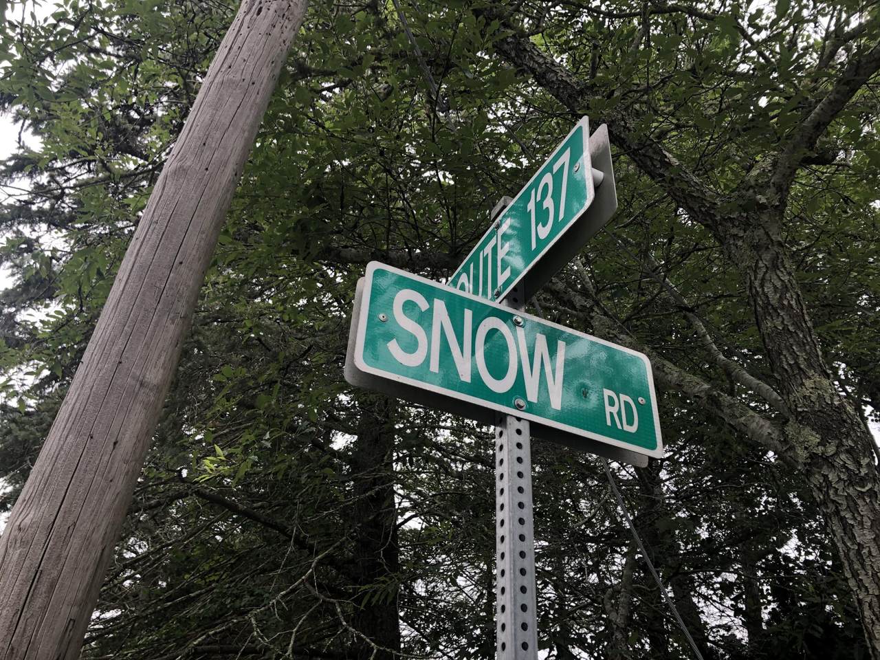 0 Snow Road - Photo 1