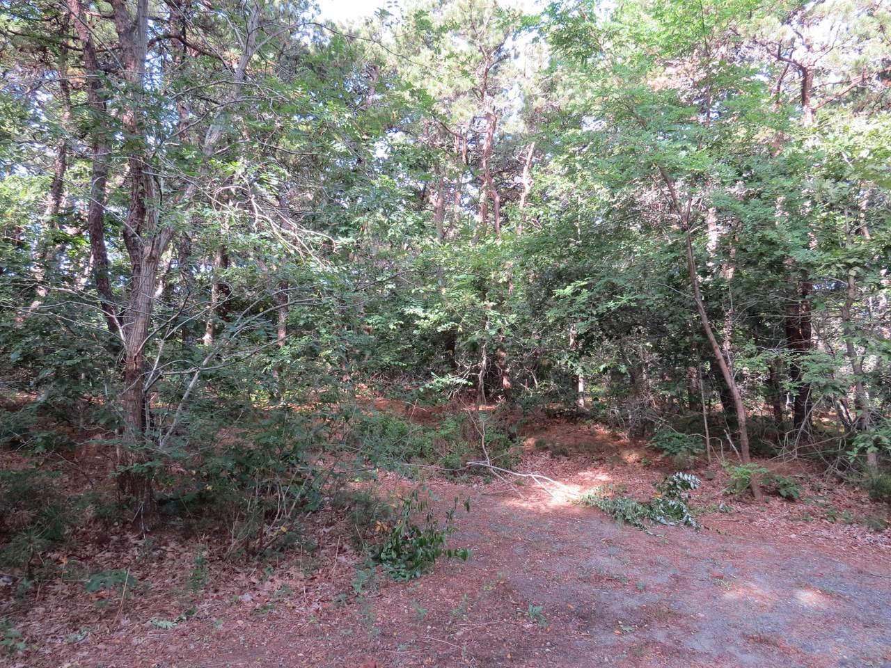 5 Russell Way - Photo 1