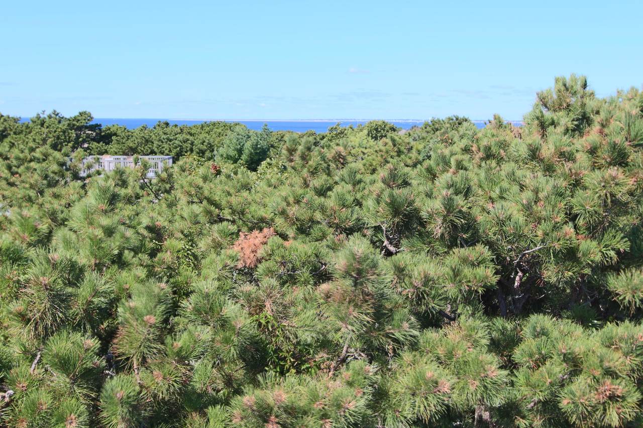 26 Fishermans Road - Photo 1