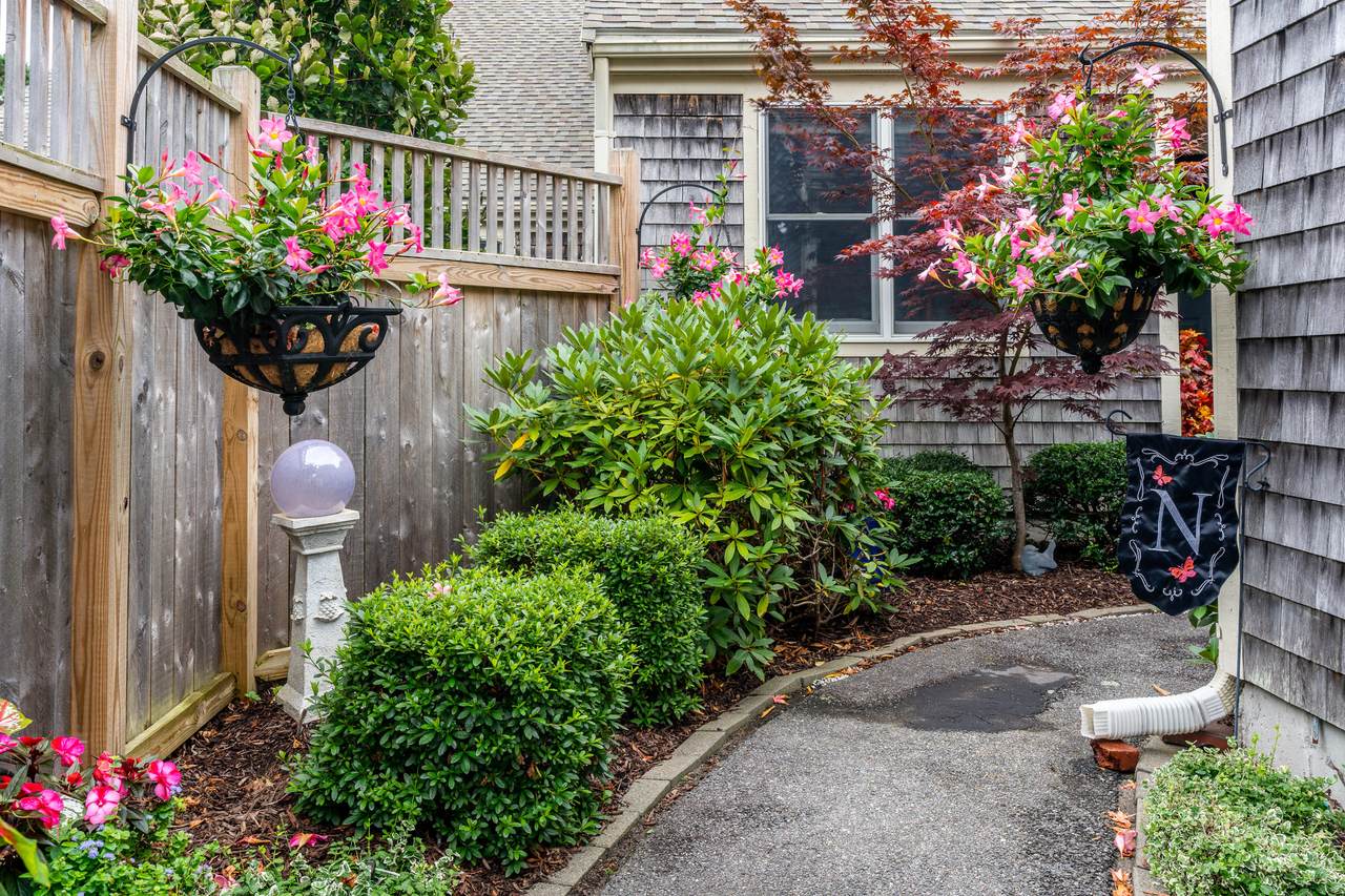 4 Pine Grove - Photo 1
