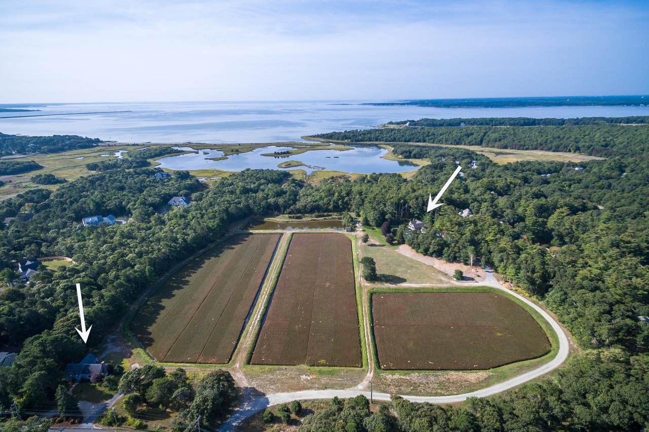 155 &157 Great Neck Road - Photo 1