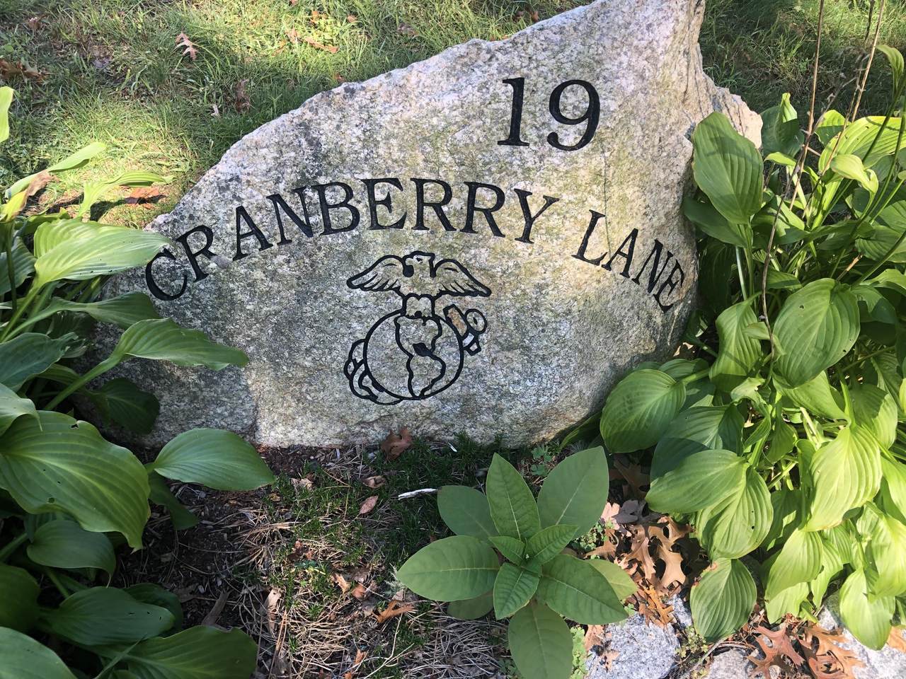 19 Cranberry Lane - Photo 1