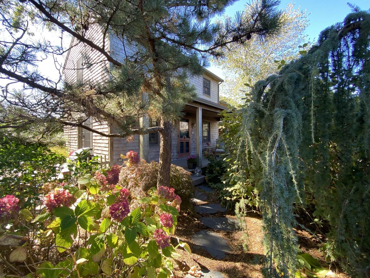 2 George's Path - Photo 1