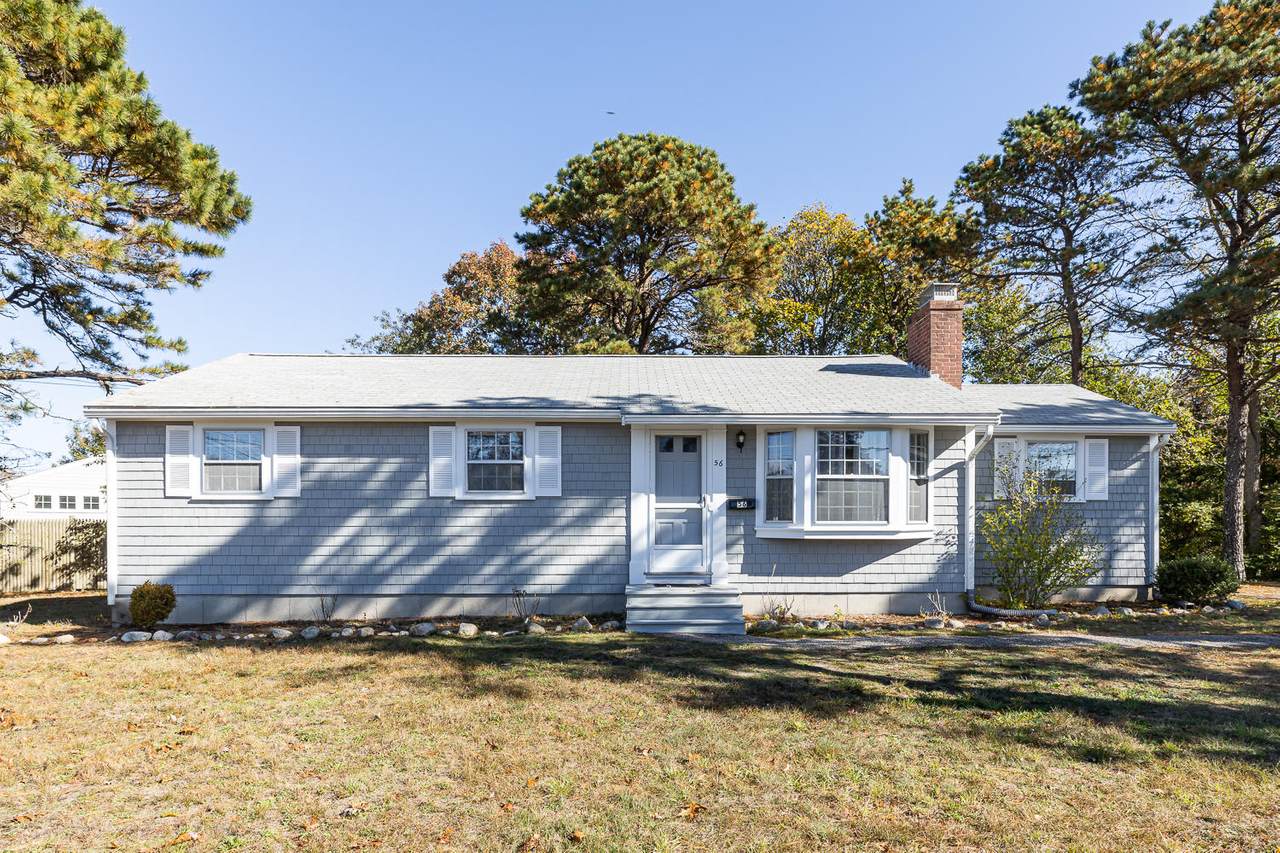 56 Silver Leaf Lane - Photo 1