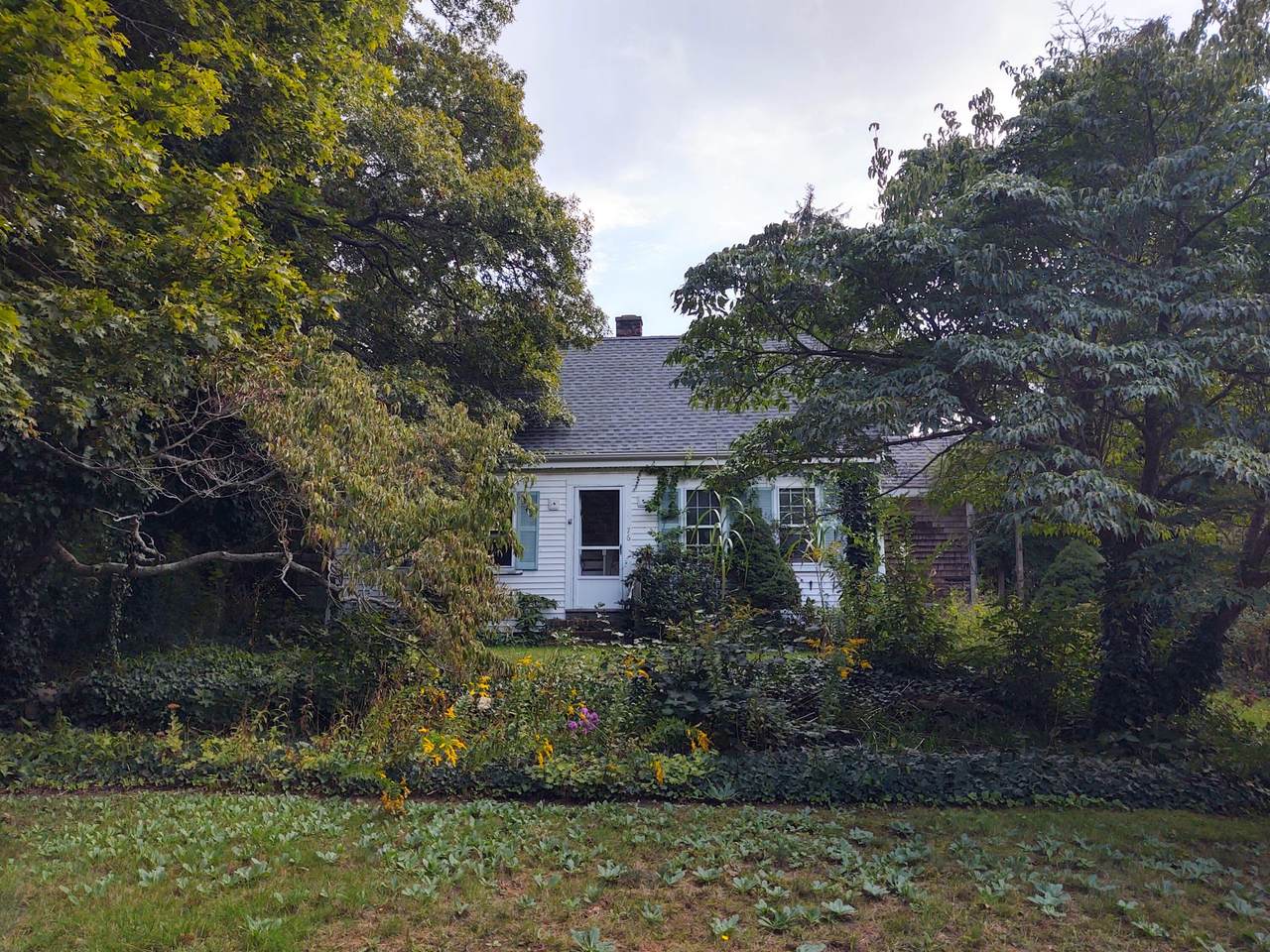 76 Old Mill Road - Photo 1