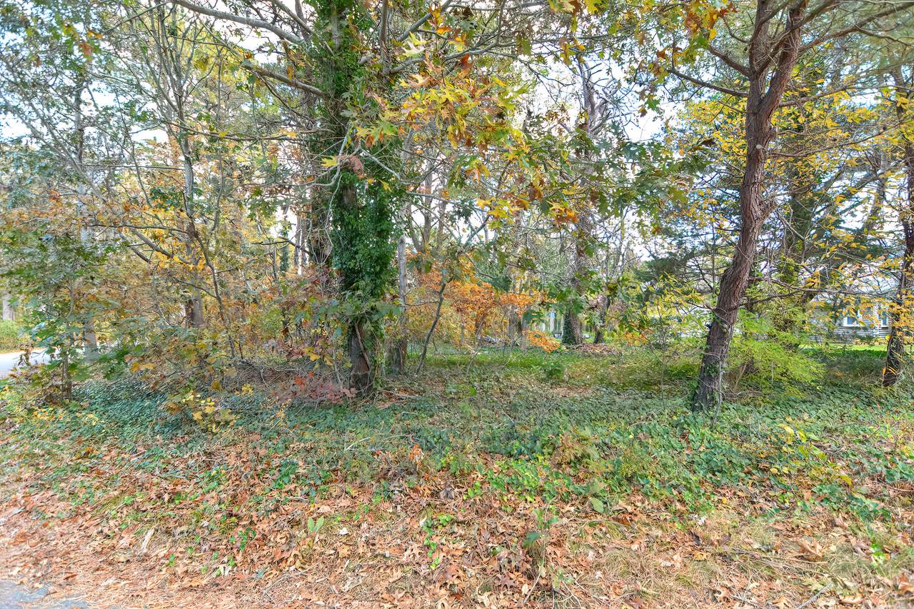 16 Wild Rose Terrace - Photo 1