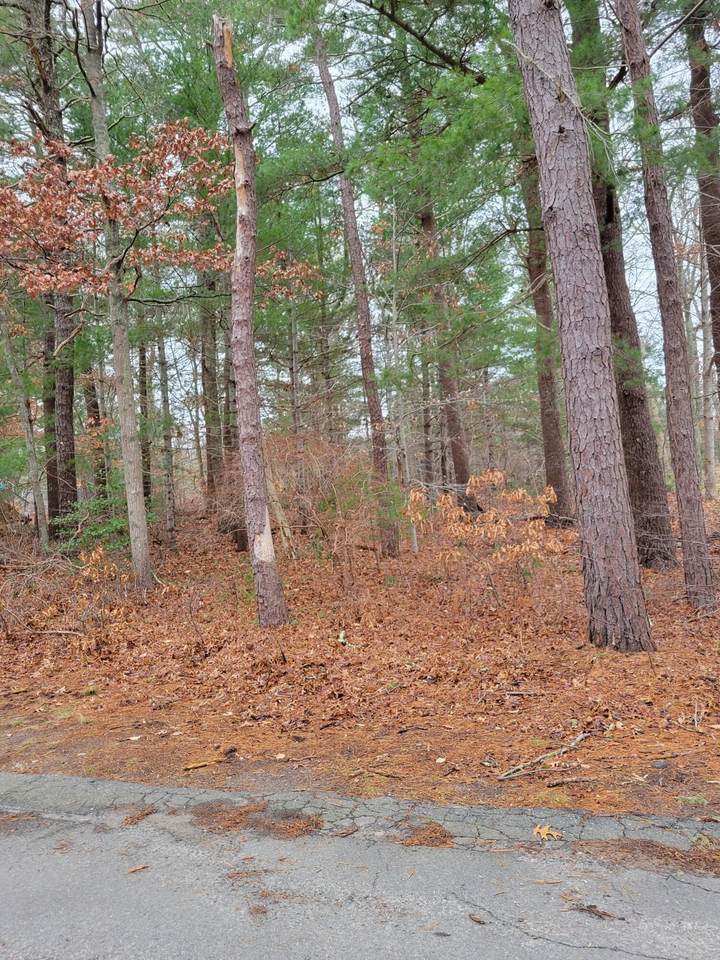 20 Wedgewood Drive - Photo 1