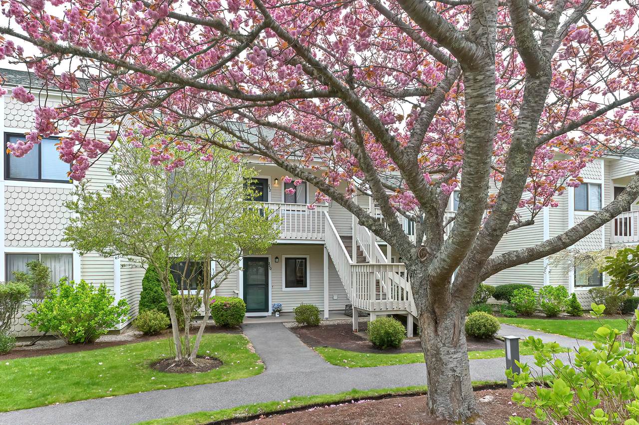 240 Eaton Lane - Photo 1