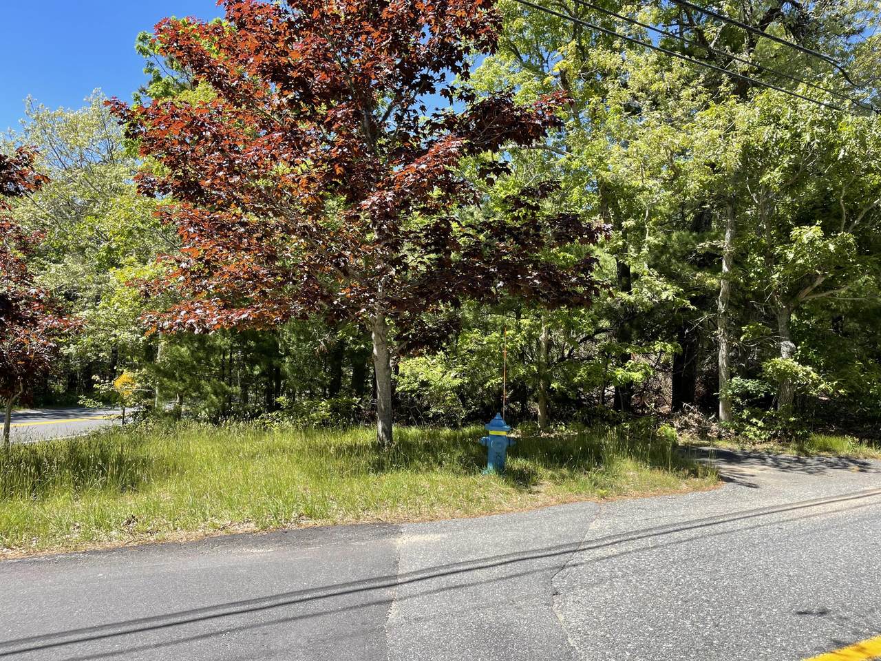 0 Oliver Snow Road - Photo 1