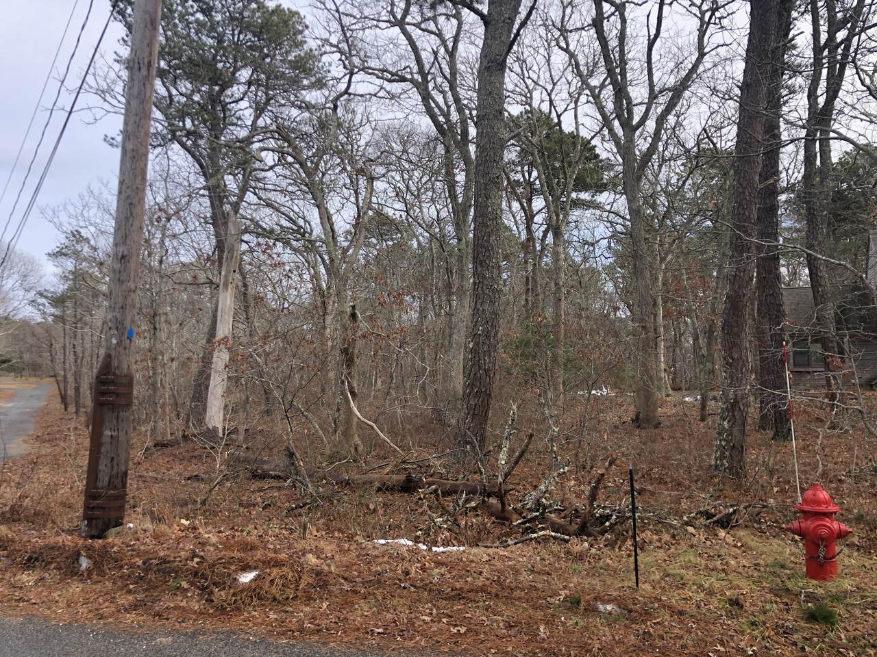 1080 Old Orchard Road - Photo 1