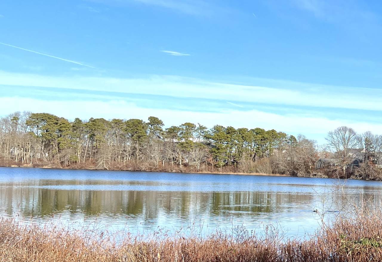 26 Betty's Pond Road - Photo 1