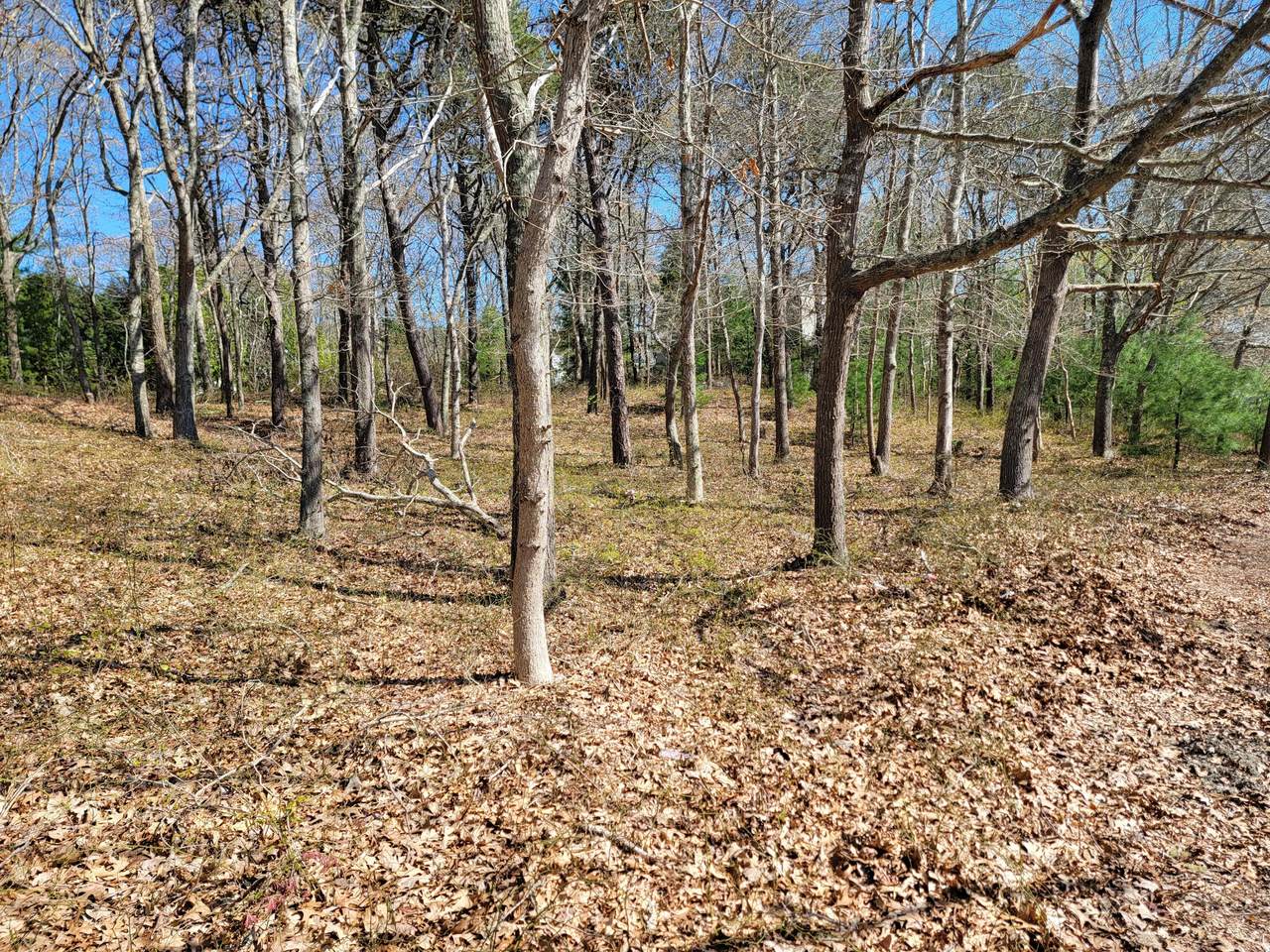 0 North Falmouth Highway - Photo 1