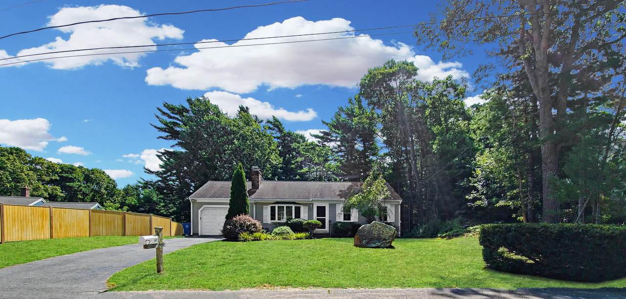 67 Althea Road - Photo 1