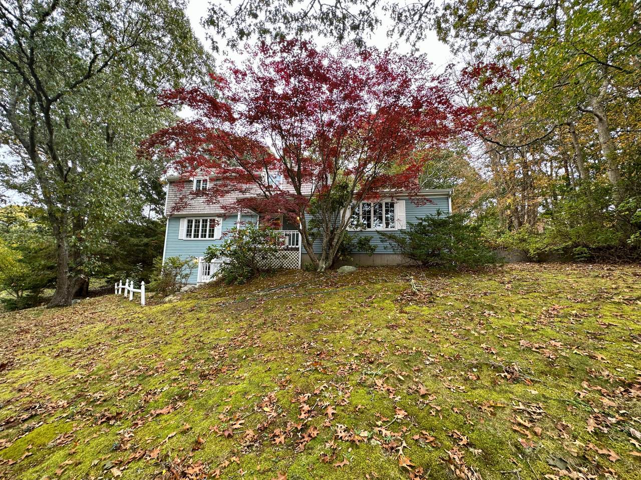 65 Bray Farm-N Road - Photo 1