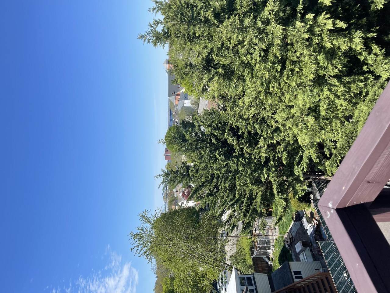 131 Stewart Street - Photo 1