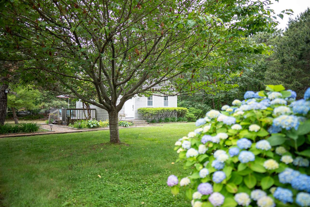 https://bt-photos.global.ssl.fastly.net/capecod/1280_boomver_1_22503012-2.jpg