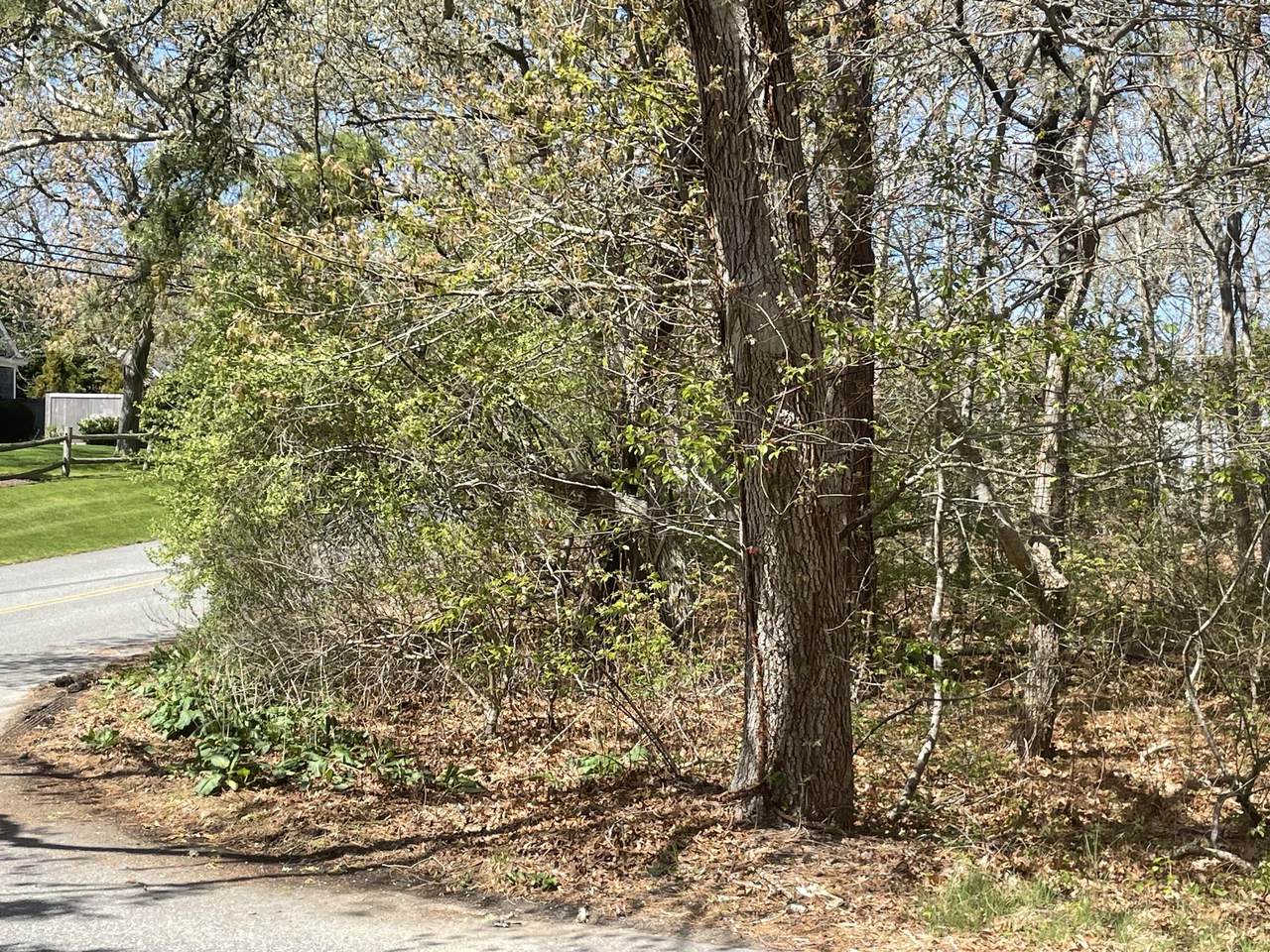 0 Woodland Way - Photo 1