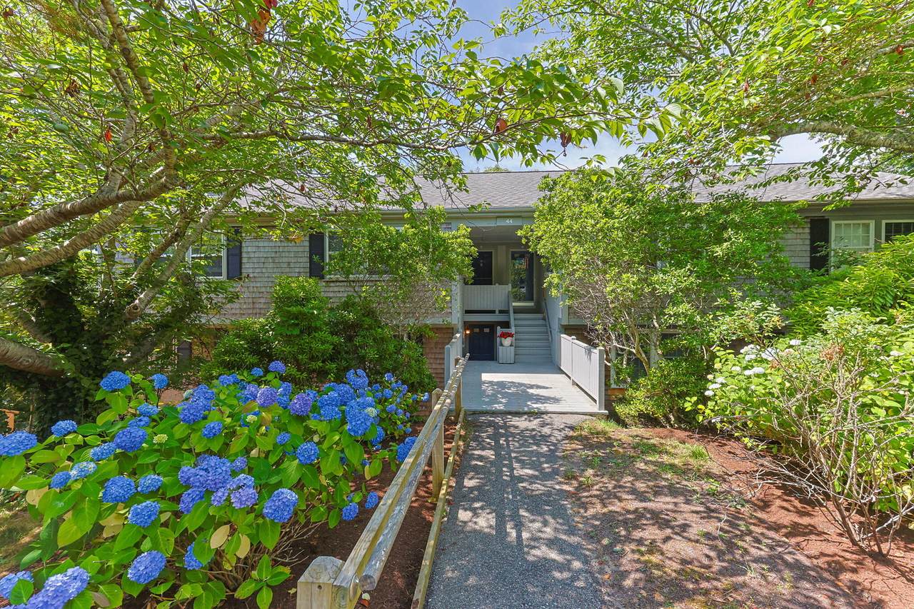 44 Misty Meadow Lane - Photo 1