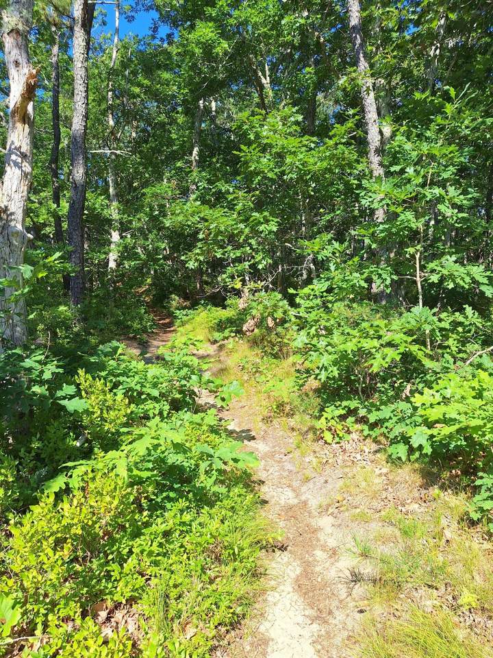 49 Oak Valley Road - Photo 1
