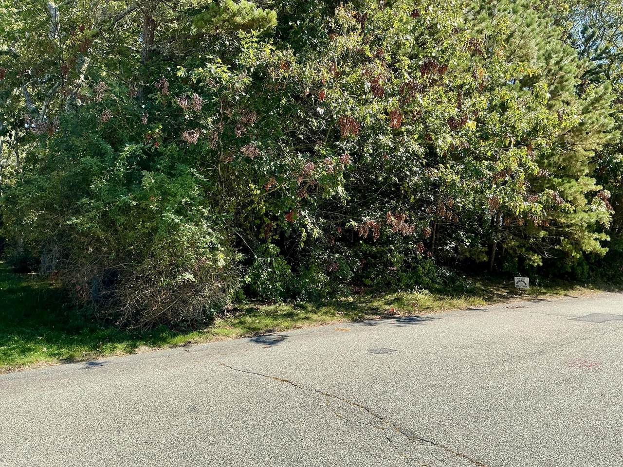 45 Fox Hill Road - Photo 1